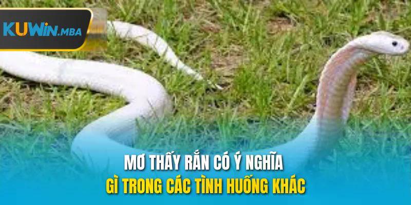 Mơ thấy rắn có ý nghĩa gì trong các tình huống khác